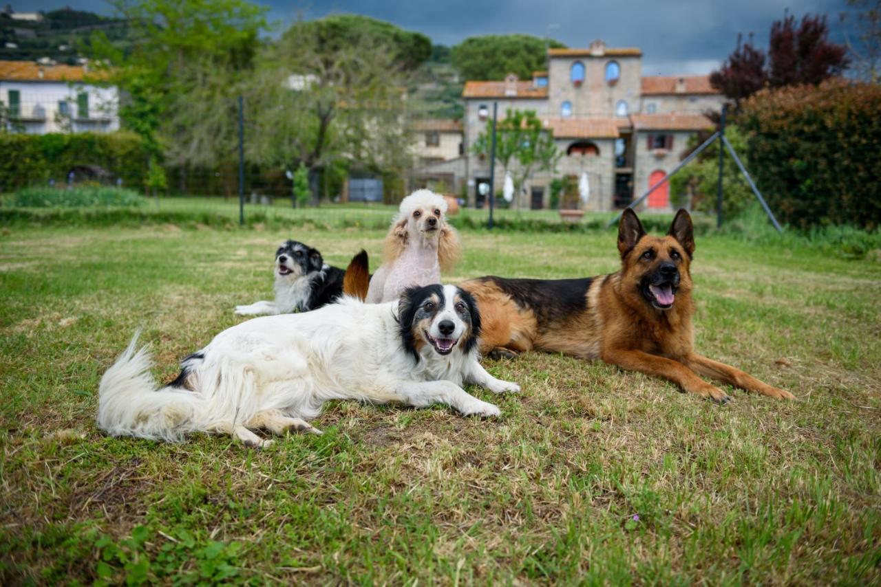 Villa Monastero San Silvestro Cortona Exterior foto